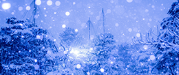 雪