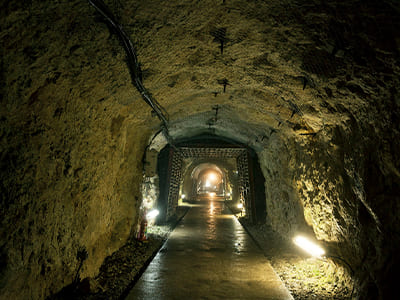 Ogoya Mine Museum