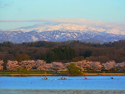 Lake Kiba Park