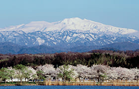 Lake Kiba Park