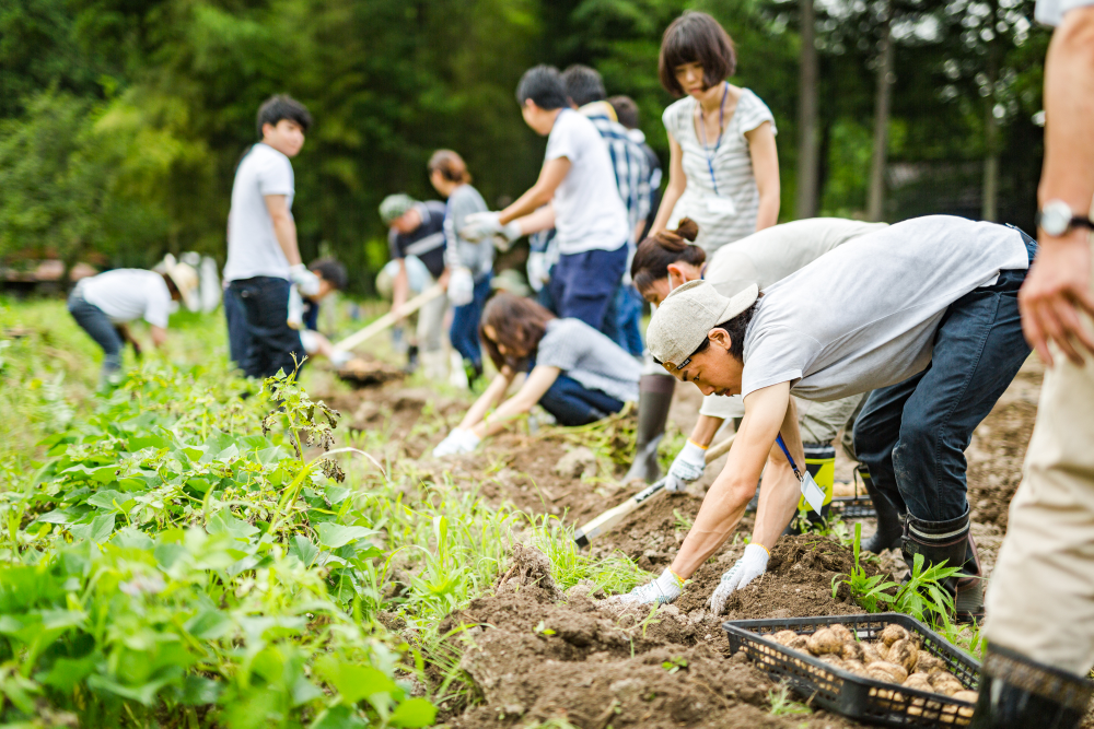 Takigahara farm experience