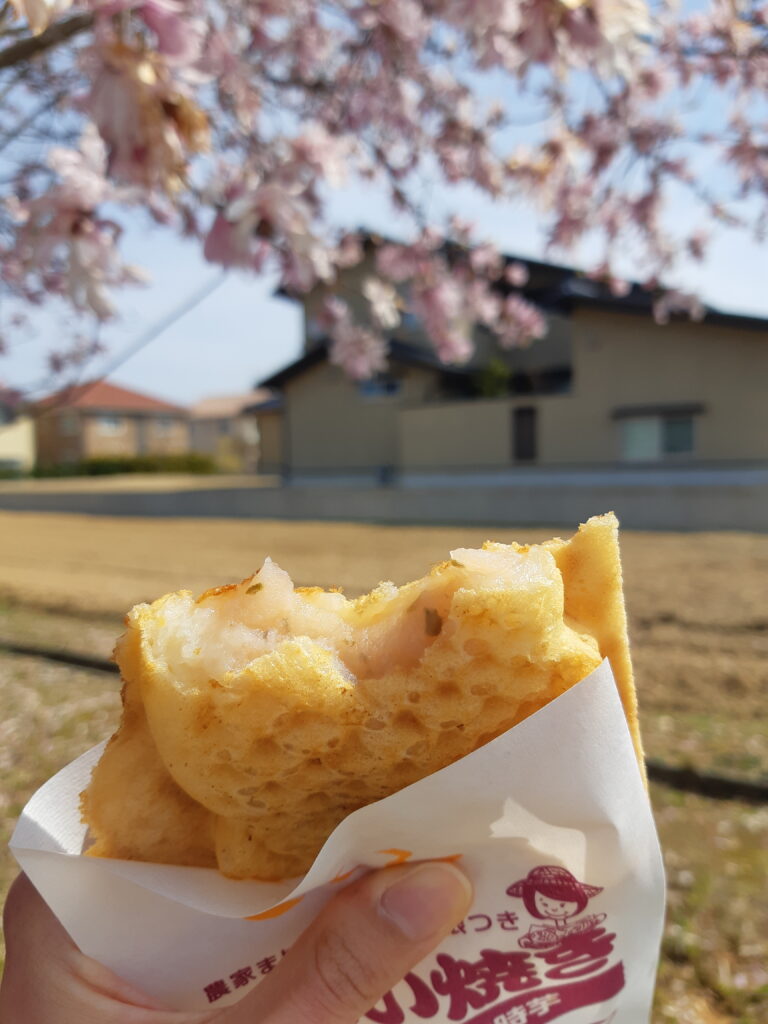 Sakura Taiyaki