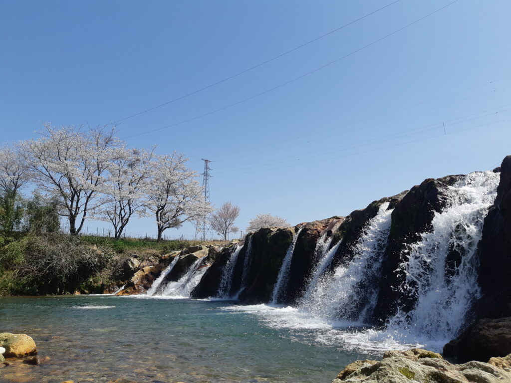 Junigataki Falls Sakura