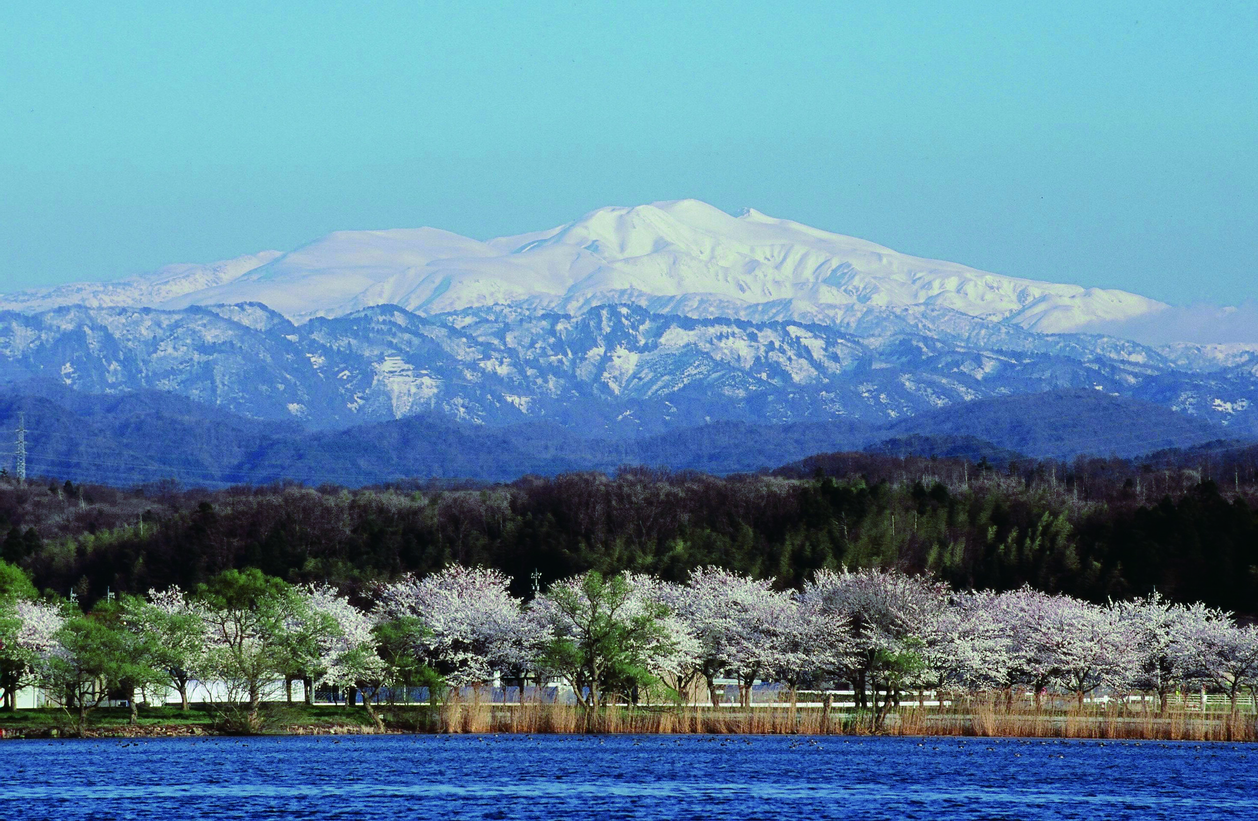 Lake Kiba Park