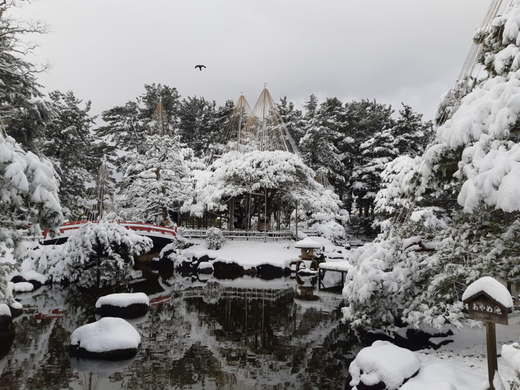 Rojo Park winter