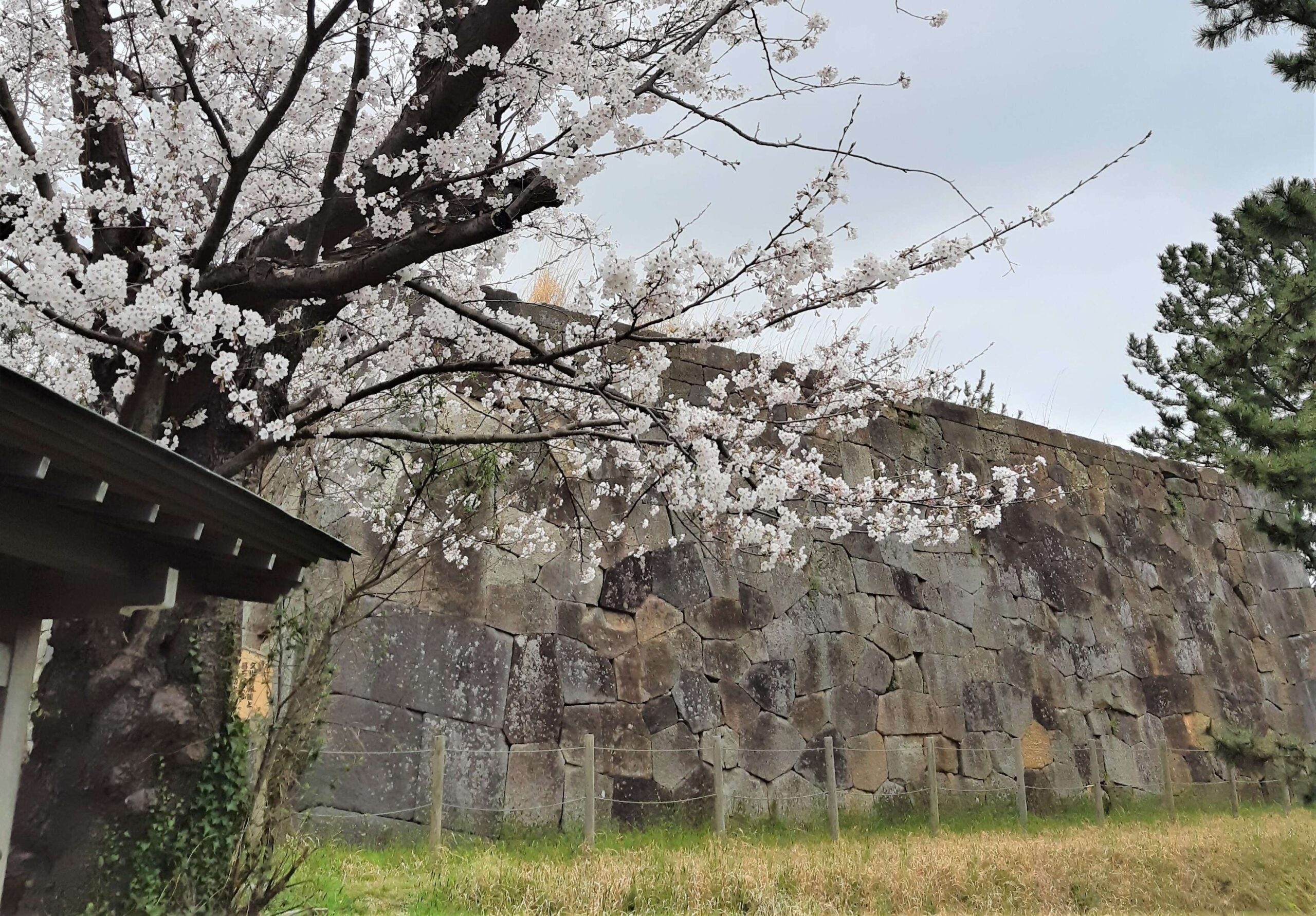 Komatsu Castle Wall